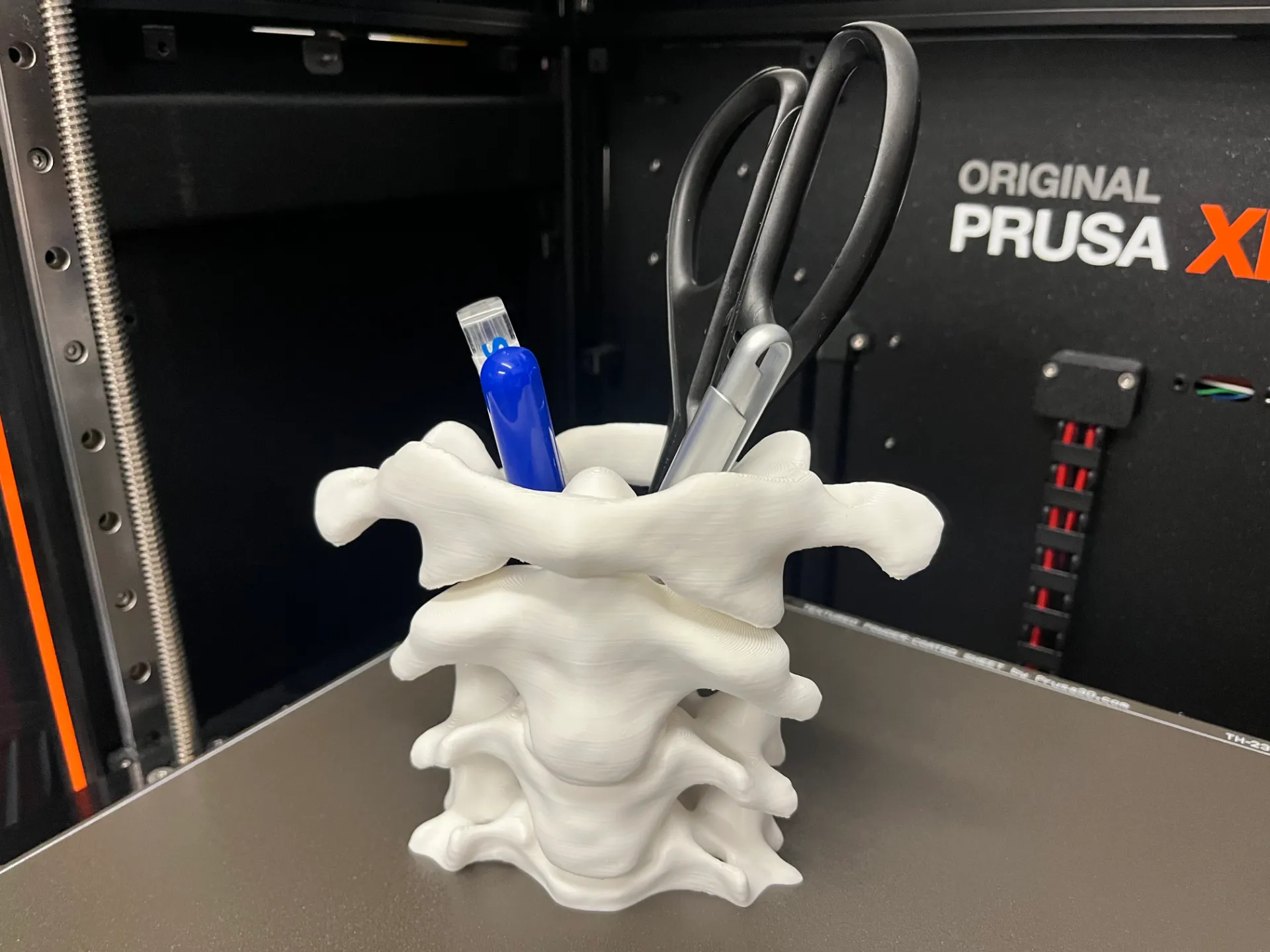 Columna vertebral